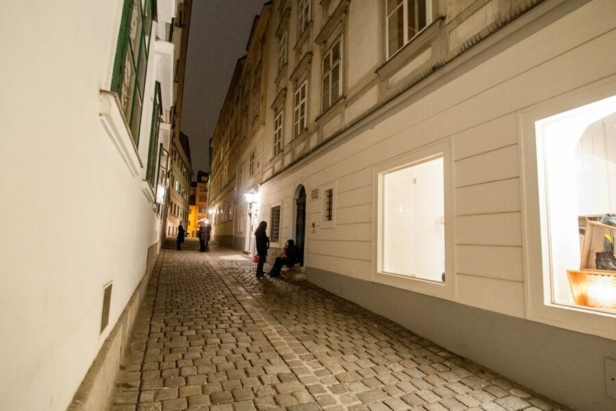 Vienna: Ghosts and Legends Guided Nighttime Walking Tour - Price and value: what $20 buys you in a 2-hour Vienna night walk