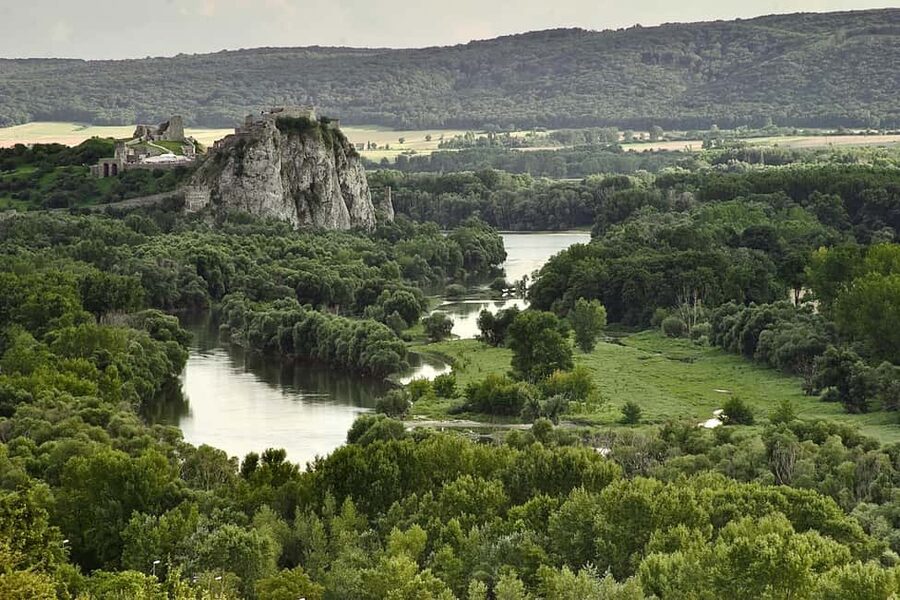 Vienna: Guided Bratislava & Devín Castle Tour via Hainburg - Guides, Small Group Energy, and the Practical Value of Live Commentary