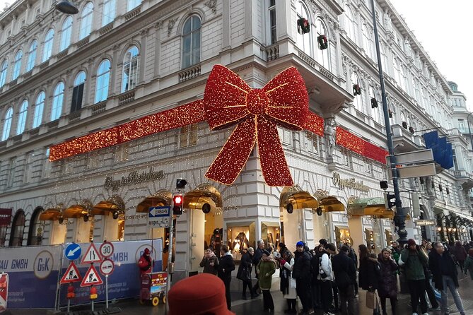 Vienna Guided City Tour in English - Beethoven Museum and the University of Vienna: art and controversy in one line