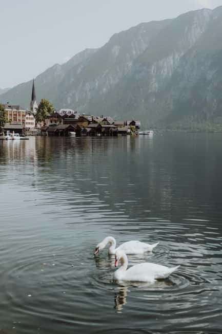 Vienna: Hallstatt Guided Tour with Hotel Pickup & Drop-off - Guides Make the Difference: Maroš, Marek, Richard, and Mario