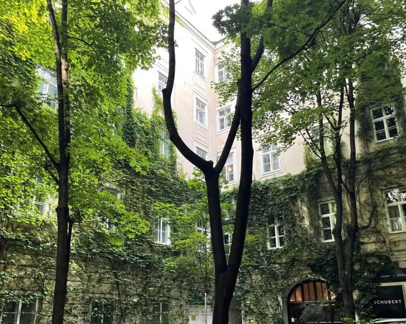 Vienna: Hidden courtyards Guided walking tour - Wheelchair accessible, but plan around the pace