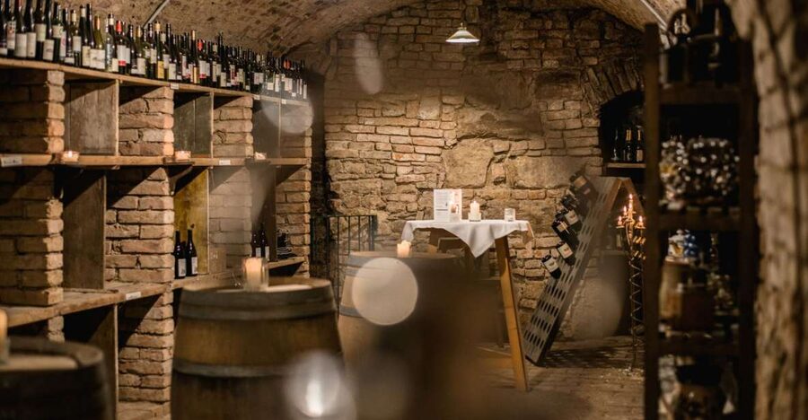 Vienna: Hidden Wine Cellars Tasting Experience - Vienna’s Cellar Underground: The Real Reason This Tour Feels Different