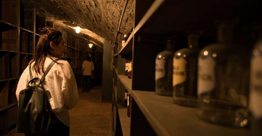 Vienna: Historical Pharmacy Cellar Guided Tour - What the hour underground is really like