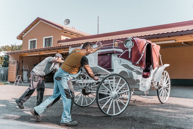 Vienna Horse-drawn Carriage Guided Tour - Why the route from the stables is good value