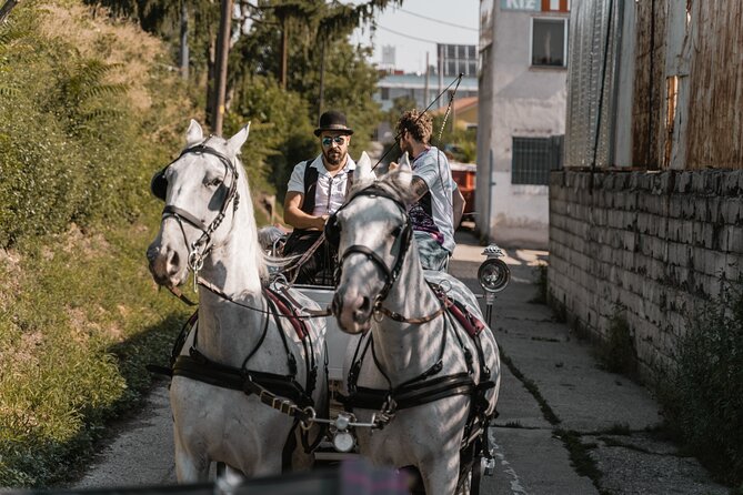 Vienna Horse-drawn Carriage Guided Tour - Family-friendly horse fun, without it turning into chaos