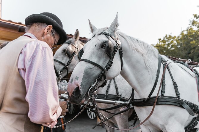 Vienna Horse-drawn Carriage Guided Tour - What kind of traveler should book this