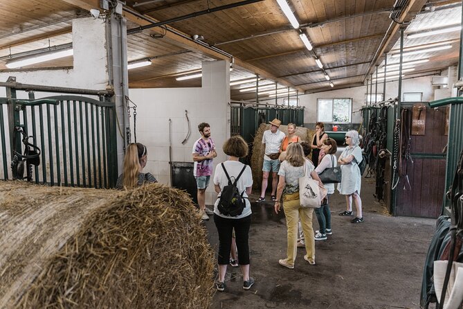 Vienna Horse-drawn Carriage Guided Tour - Should you book the Vienna Fiaker stables and carriage tour?