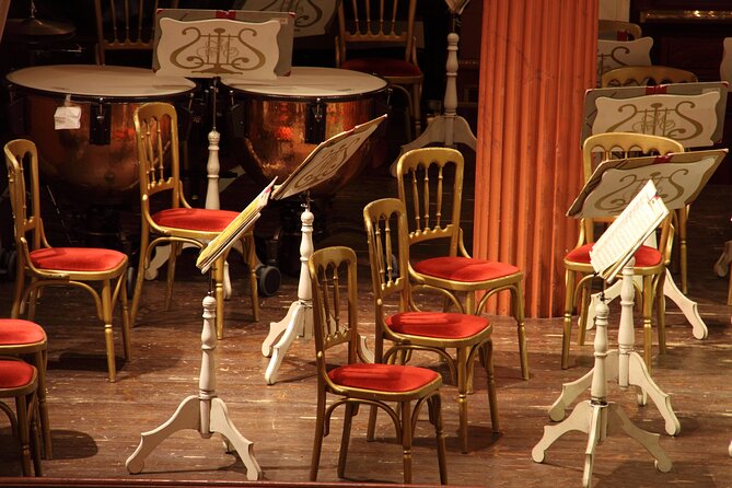 Vienna: Meet Beethoven Life Private Guided Walking Tour - The extended option: how to plan your evening concert ticket
