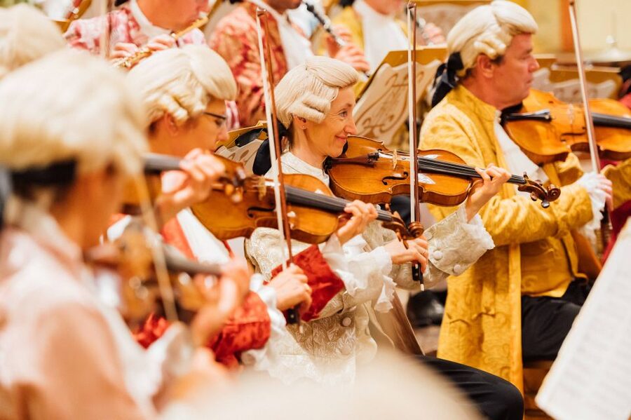 Vienna: Mozart Concert and Austrian Delights Dinner - At the Musikverein: Mozart Serenades and Strauss in a Hall Built for Sound