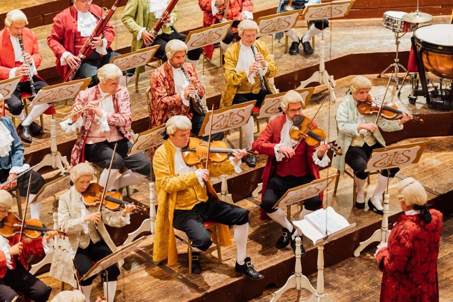 Vienna: Mozart Concert and Austrian Delights Dinner - Who This Mozart Dinner Concert Is Best For