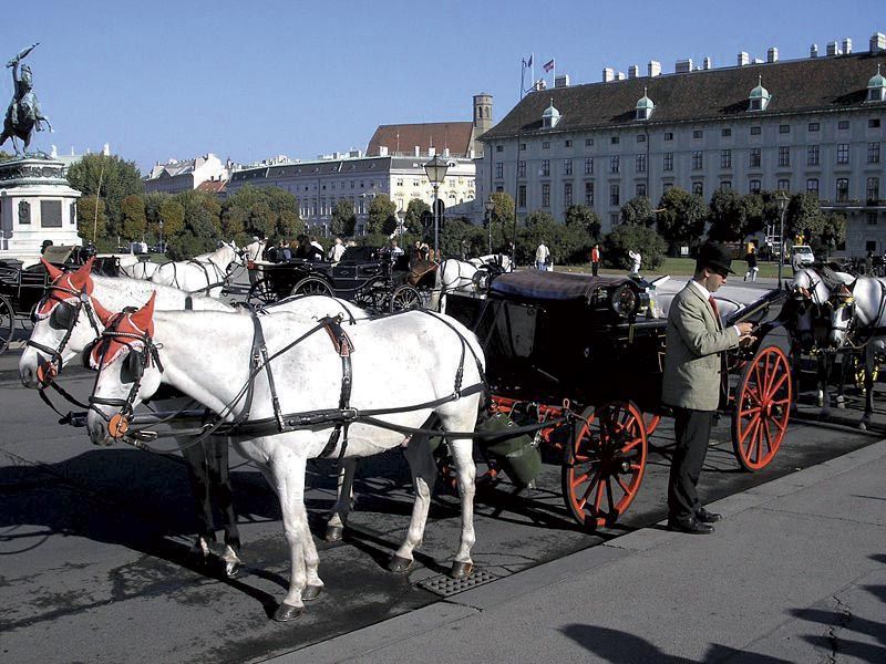 Vienna: Mozart Concert with Dinner and Carriage Ride - Best for Couples, Anniversaries, and First-Time Vienna Nights