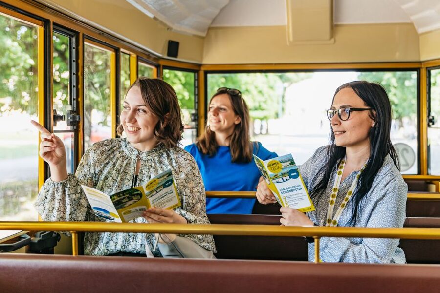 Vienna: Panorama Train Tickets to explore Schönbrunn Palace - Price and value: does $18 make sense?