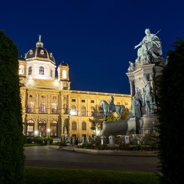 Vienna: Panoramic Night Tour by Bus - Who This Tour Fits Best (and Who Might Want a Different Plan)