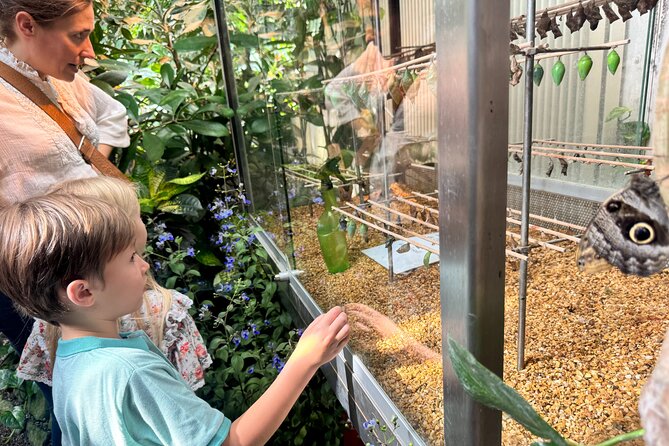 Vienna Private Family Tour: City Highlights, Museum and Cake - Butterfly House: kids light up, adults get a photo moment