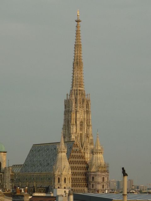 Vienna: Private Guided Walking Tour - Starting at Stephansplatz: the tour’s rhythm begins fast