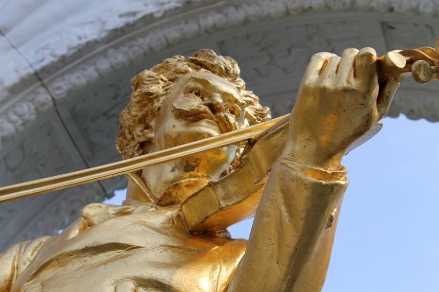 Vienna Private Walking Tour including State Opera - Hofburg, the Art History Museum area, and a Mozart-shaped anchor