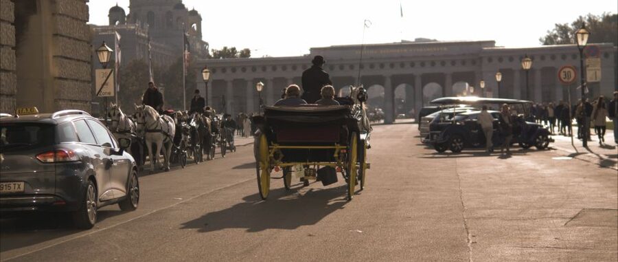 Vienna: Private Walking Tour to The Hofburg & Graben Street - Graben Street and the side passages: seeing Vienna at walking speed