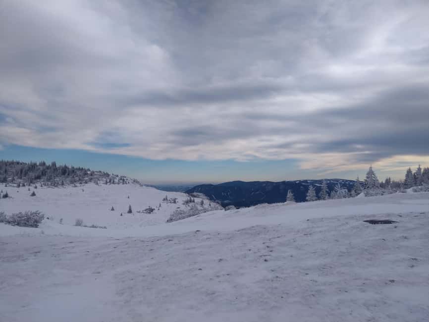 Vienna: Relaxed Alpine Snowshoe Experience Guide & Transfer - Snowshoes Without Stress: What You Really Need to Know