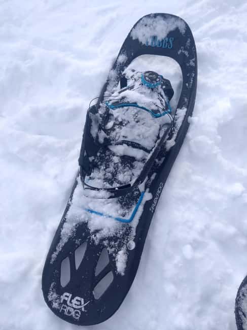 Vienna: Relaxed Alpine Snowshoe Experience Guide & Transfer - Weather and Snow Conditions: The Day Can Change, and That’s Part of It