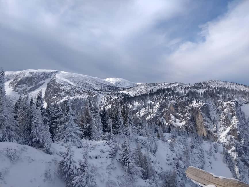 Vienna: Relaxed Alpine Snowshoe Experience Guide & Transfer - Getting There Smoothly: Pickup at Wien Hauptbahnhof, Van Ride, Cable Car
