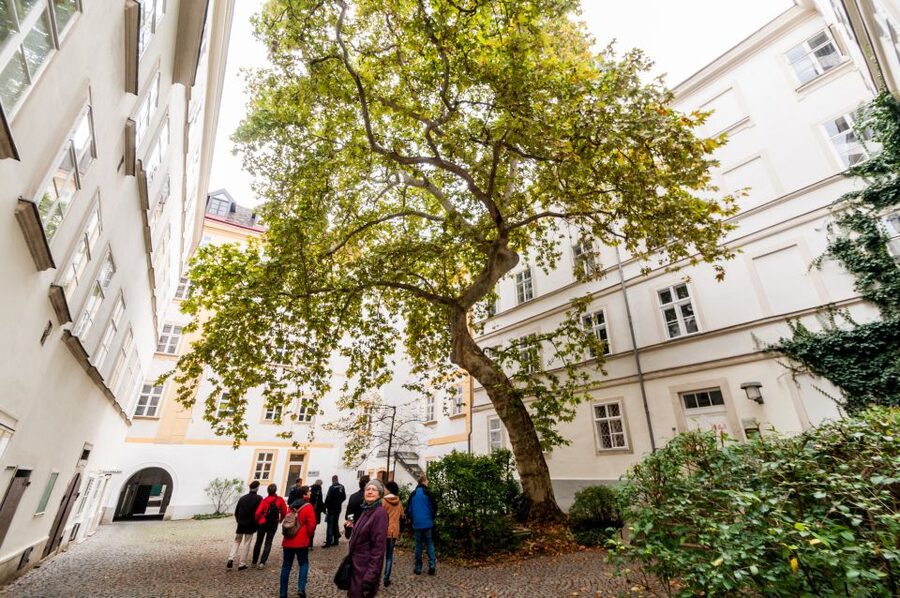Vienna: Romantic Old Town 2-Hour Discovery Tour - Myths and legends: why animals show up on buildings