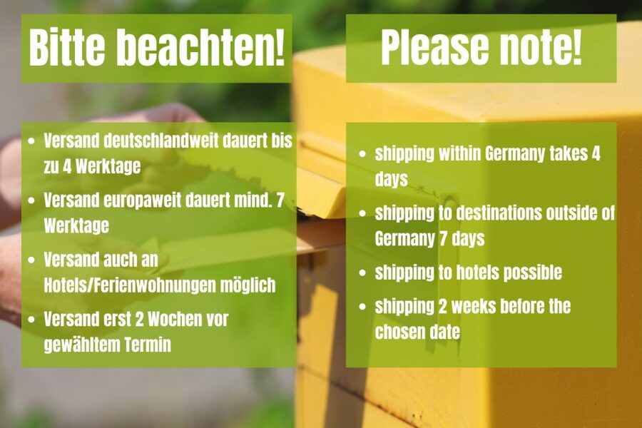 Vienna: Scavenger Hunt Self-Guided Tour - Key things I’d plan for