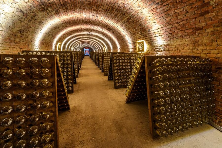 Vienna: Schlumberger Wine Cellar Guided or Self-Guided Tour - First steps: where this cellar experience fits in your Vienna day
