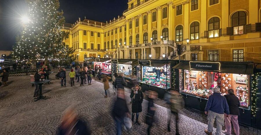 Vienna: Schönbrunn Palace & Christmas Market Walking Tour - Entering Schönbrunn Palace with skip-the-line momentum