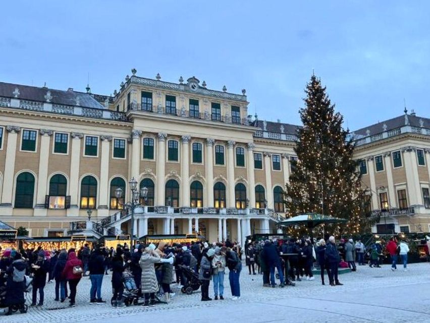 Vienna: Schönbrunn Palace & Christmas Market Walking Tour - Who should book this Schönbrunn Christmas tour (and who might not)