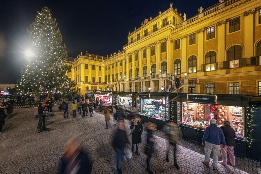 Vienna: Schönbrunn Palace & Christmas Market Walking Tour - The guided palace rooms: where the Habsburg stories make the decor make sense