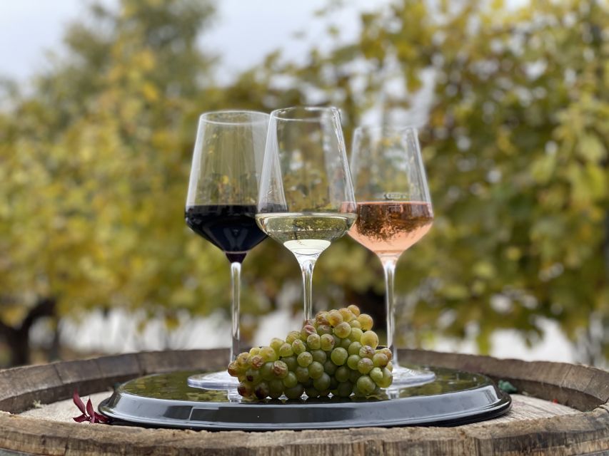 Vienna: Schönbrunn Palace Entry Ticket and Wine Tasting - A Palace Afternoon With Real Vienna Wine Culture