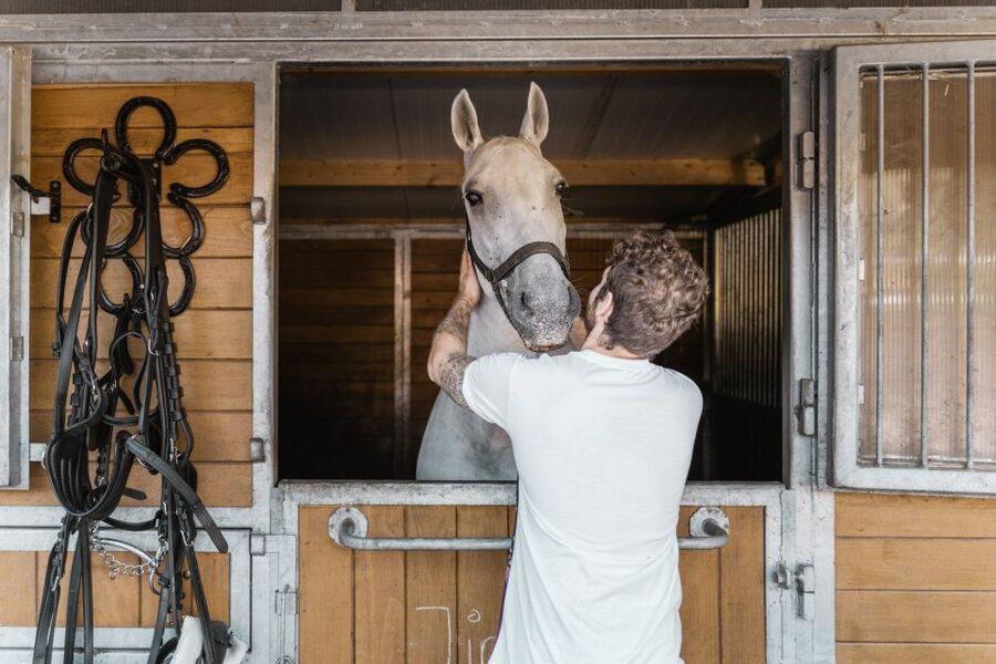 Vienna: Secrets of the Fiaker & Horse-Drawn Carriage Ride - Key things to know before you go