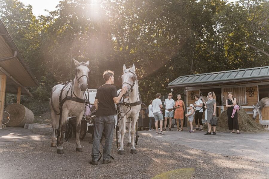 Vienna: Secrets of the Fiaker & Horse-Drawn Carriage Ride - The hour into town: St. Marx and Ringstraße, then drop near Michaelerplatz