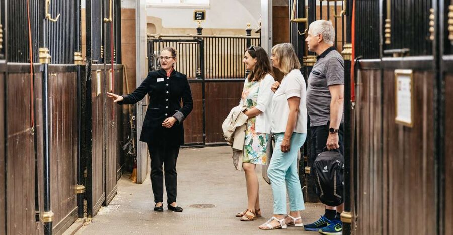 Vienna Spanish Riding School Guided Tour - Winter Riding School: the Baroque atmosphere and the training spaces you’ll recognize