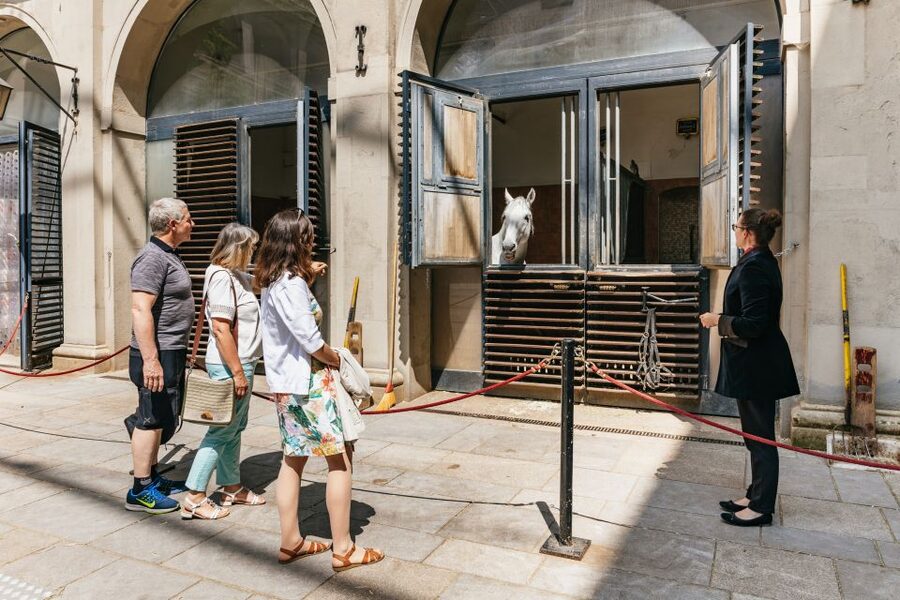 Vienna Spanish Riding School Guided Tour - Stables in the Stallburg: close up with the Lipizzaners (without touching)