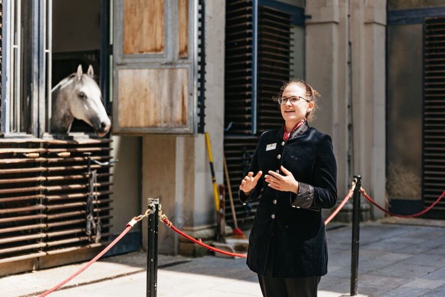 Vienna Spanish Riding School Guided Tour - How the guided walk actually feels: group size, sound, and your best viewing strategy