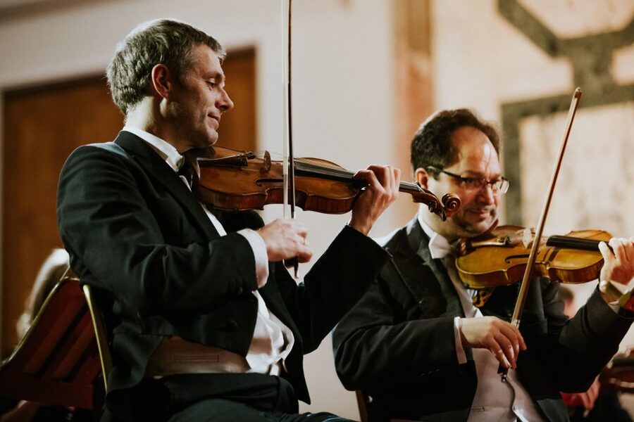 Vienna: Strauss and Mozart Concert at Hofburg Palace - Who should book this concert (and who might want a different evening)