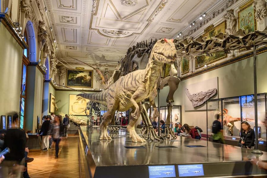 Vienna: Ticket to the Museum of Natural History - Lower Floor Must-Dos: Minerals, Meteorites, and the Giant Dinosaur Moment
