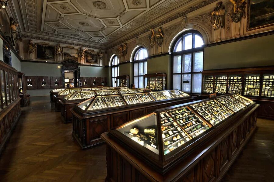 Vienna: Ticket to the Museum of Natural History - Upper Floor Animal World: Rare Mounted Specimens and Extinct Species