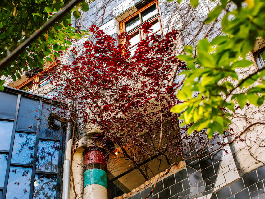 Vienna: Tickets for Kunst Haus Wien: Museum Hundertwasser - The top-floor temporary shows: contemporary art plus Ecology, Sustainability & Urbanity