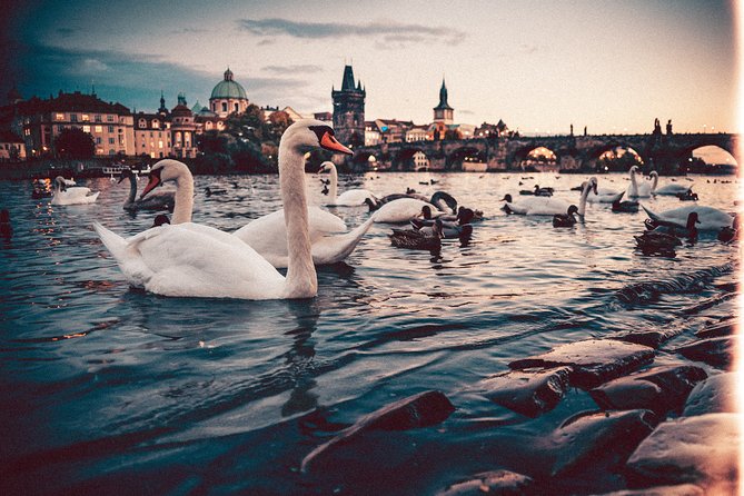 Vienna to Prague - Private Transfer with 2 hours of Sightseeing - Price and Value: Is $313.24 Per Person Worth It?
