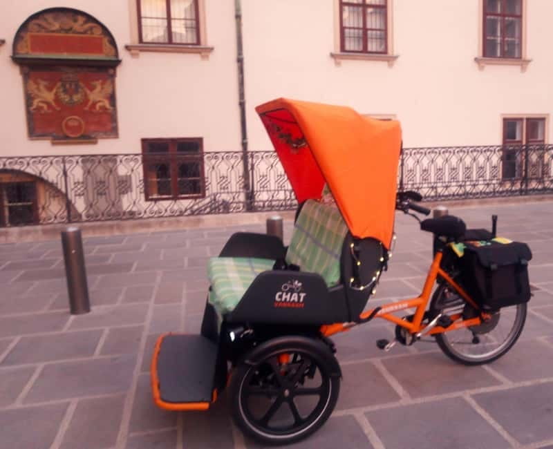 Vienna: Tour with locals in RAXI electric rickshaw - Key things I’d circle before you book