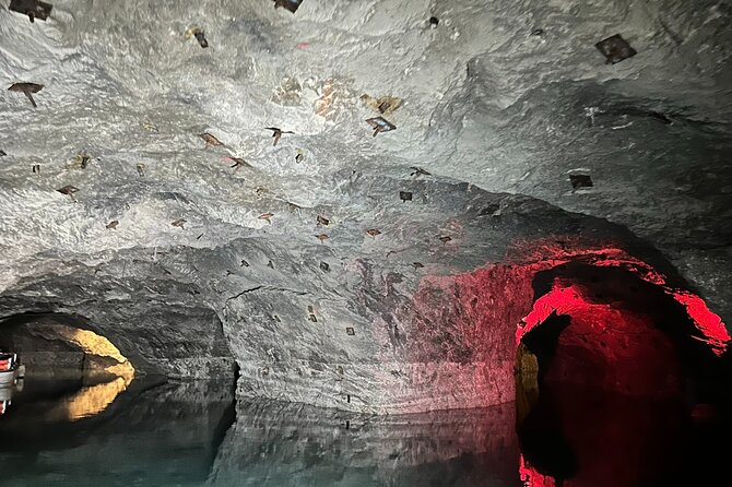 Vienna : Vienna Forest Tour with Underground Lake and Wine Tasting - What the guide changes: smoother timing, better explanations