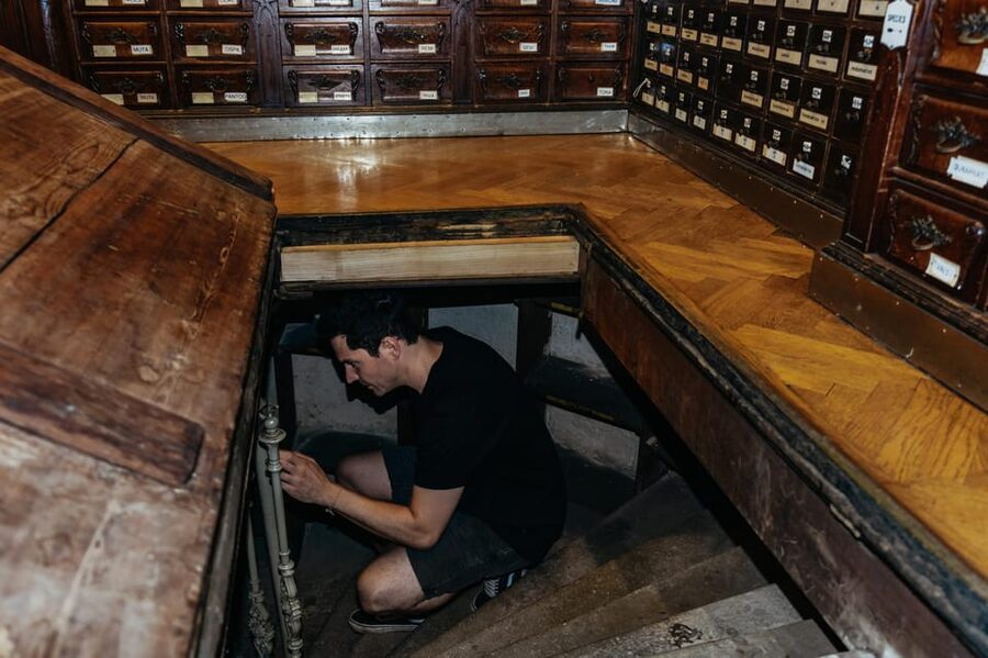 Vienna: Viennese Underworld Guided Walking Tour - Option-based underground stops: basements with different “themes”