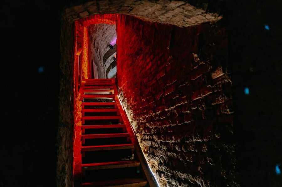 Vienna: Viennese Underworld Guided Walking Tour - The walk starts on the surface: meeting point, timing, and language
