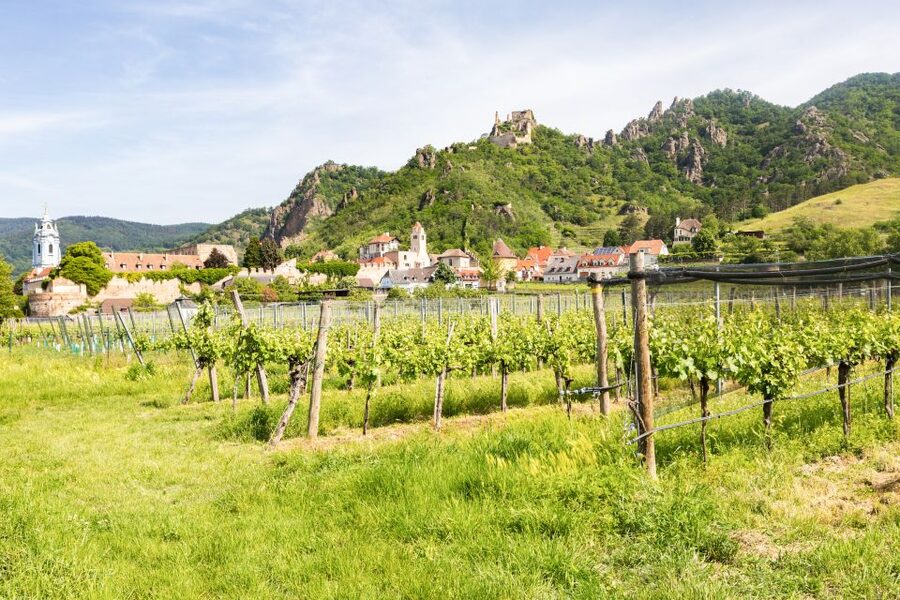 Vienna: Wachau Valley, Melk Abbey Tour with Danube Boat Trip - Season choices: which version includes the Abbey and which includes the boat