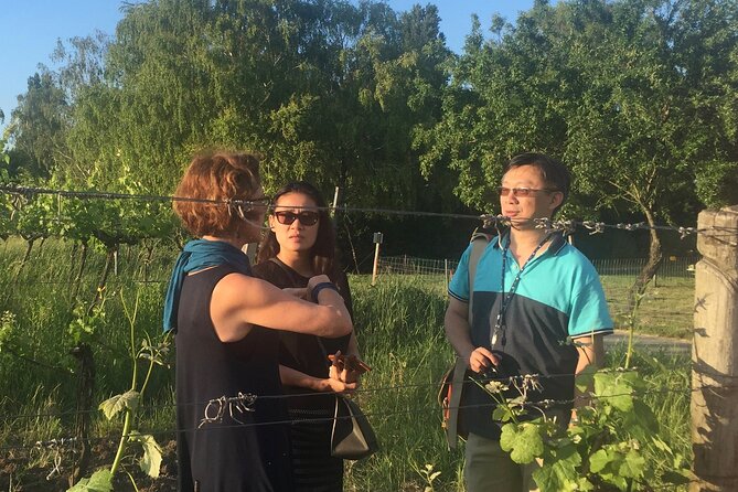 Vienna Wine Experience - Buschenschank vs Heurigen: what changes when weather changes