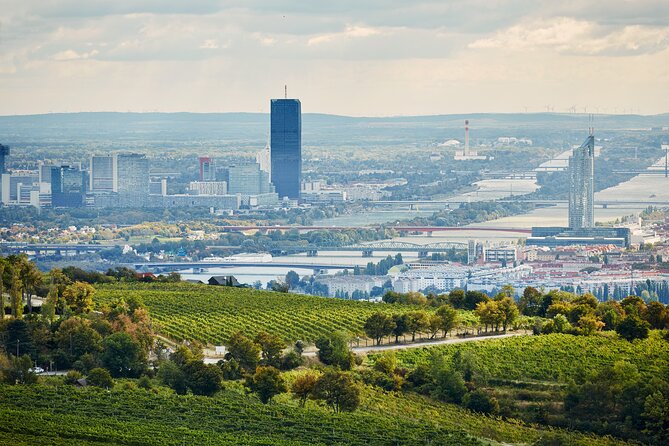 Vienna Wine Experience - Who this tour is for (and who should pass)