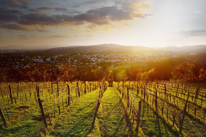 Vienna Wine Experience - Practical tips so your wine day goes smoothly