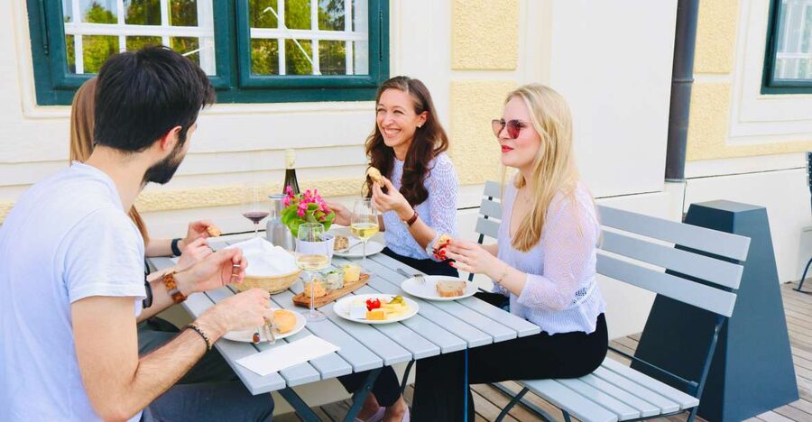 Vienna: Wine Tasting at Schönbrunn Palace - Why Schönbrunn Palace is a smart place to taste Vienna wines